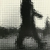 Peter Ziegler's profile picture
