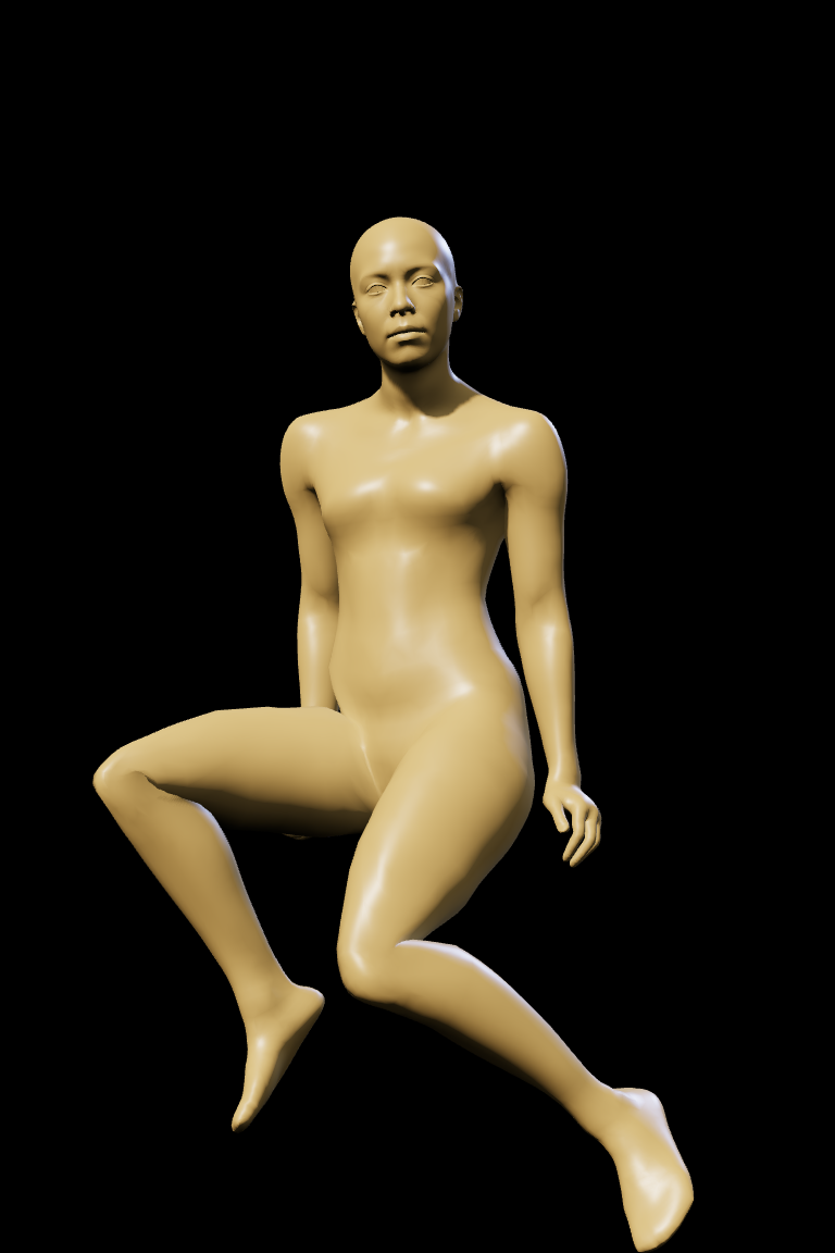 Sample shaded RGB 3D body-mesh pose condition